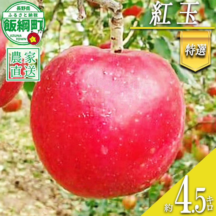 りんご 紅玉 特選 4.5kg やまじゅうファーム 沖縄県への配送不可 2026年10月上旬頃から2026年10月中旬頃まで順次発送予定 令和8年度収穫分 信州の環境にやさしい農産物 減農薬栽培 長野県 飯綱町 [0516]