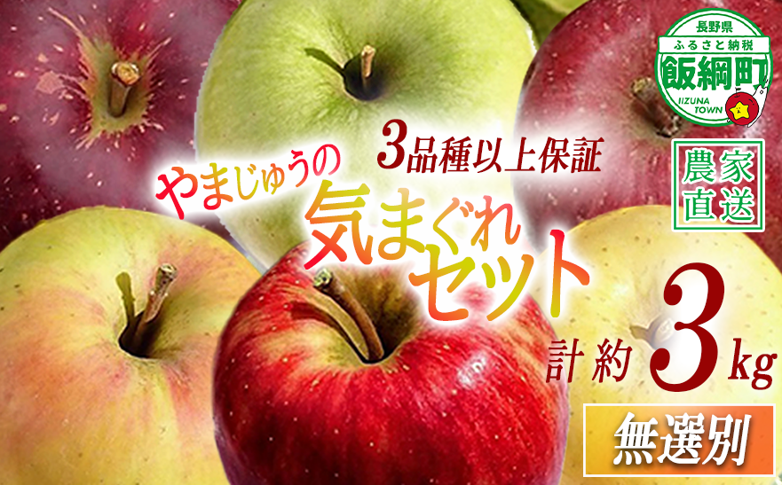りんご 3品種以上保証 気まぐれセット 3kg 詰め合わせ セット やまじゅうファーム 沖縄県への配送不可 2026年11月中旬頃から2026年12月下旬頃まで順次発送予定 令和8年度収穫分 信州の環境にやさしい農産物 減農薬栽培 長野県 飯綱町 [1538]