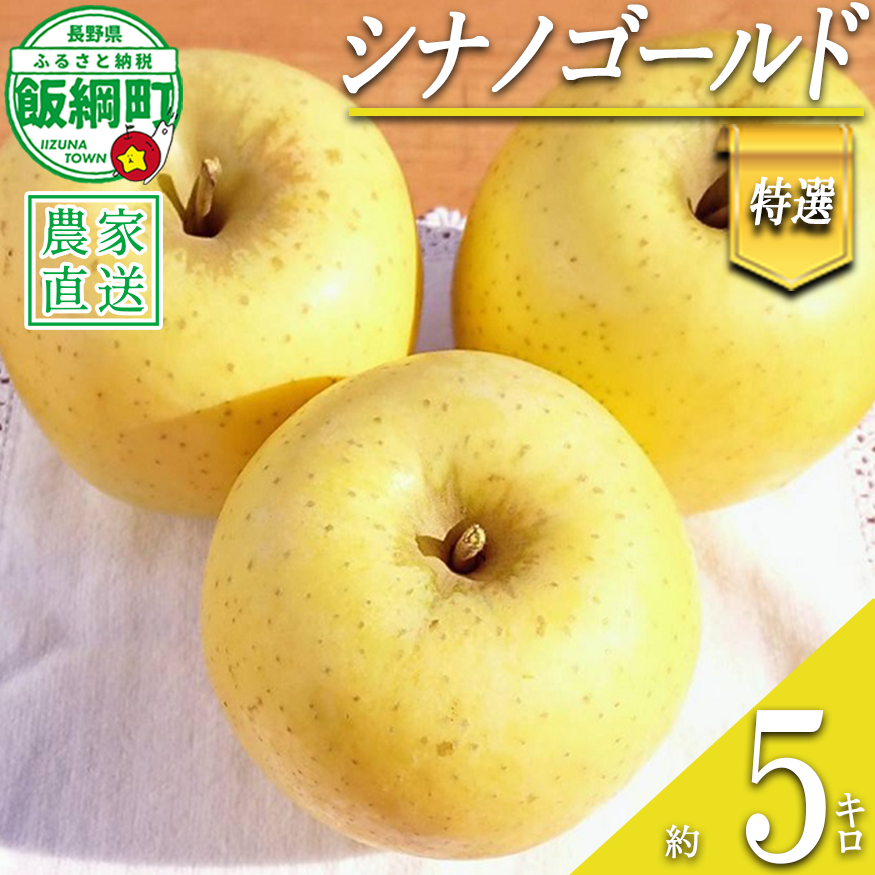 りんご シナノゴールド 特選 5kg やまじゅうファーム 沖縄県への配送不可 2026年11月上旬頃から2026年11月下旬頃まで順次発送予定 令和8年度収穫分 信州の環境にやさしい農産物 減農薬栽培 長野県 飯綱町 [0855]