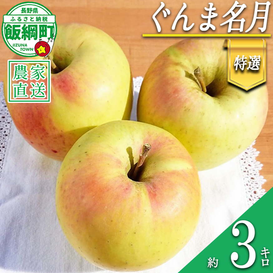 りんご ぐんま名月 特選 3kg やまじゅうファーム 沖縄県への配送不可 2026年11月下旬頃から2026年12月上旬頃まで順次発送予定 令和8年度収穫分 信州の環境にやさしい農産物 減農薬栽培 長野県 飯綱町 [0527]