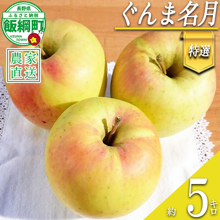 りんご ぐんま名月 特選 5kg やまじゅうファーム 沖縄県への配送不可 2026年11月下旬頃から2026年12月上旬頃まで順次発送予定 令和8年度収穫分 信州の環境にやさしい農産物 減農薬栽培 長野県 飯綱町 [0528]