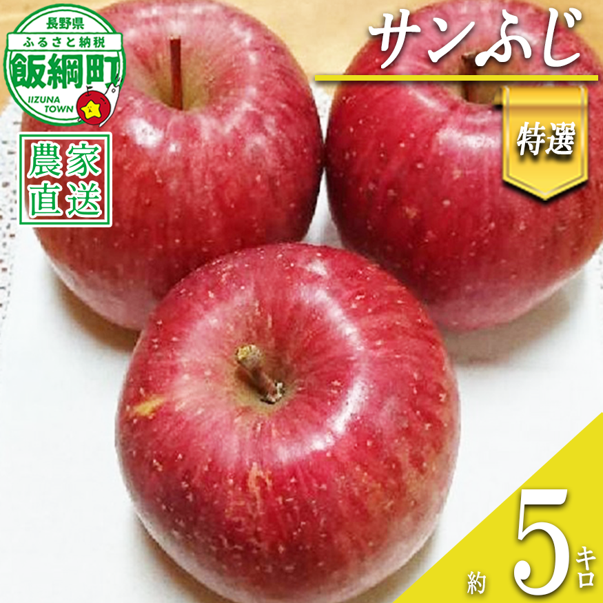 りんご サンふじ 特選 5kg やまじゅうファーム 沖縄県への配送不可 2026年12月中旬頃から2026年12月下旬頃まで順次発送予定 令和8年度収穫分 信州の環境にやさしい農産物 減農薬栽培 長野県 飯綱町 [0534]