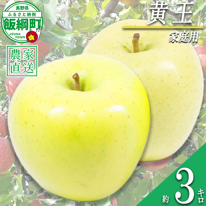 りんご 黄王 家庭用 3kg 永野農園 沖縄県への配送不可 2026年8月中旬頃から2026年8月下旬頃まで順次発送予定 令和8年度収穫分 信州 果物 フルーツ リンゴ 林檎 長野 予約 農家直送 長野県 飯綱町 [0486]