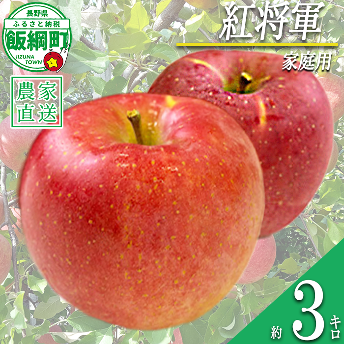 りんご 紅将軍 家庭用 3kg 永野農園 沖縄県への配送不可 2026年9月下旬頃から2026年10月上旬頃まで順次発送予定 令和8年度収穫分 信州 果物 フルーツ リンゴ 林檎 長野 予約 農家直送 長野県 飯綱町 [0798]