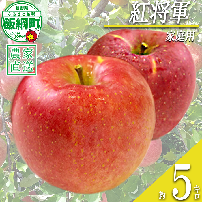 りんご 紅将軍 家庭用 5kg 永野農園 沖縄県への配送不可 2026年9月下旬頃から2026年10月上旬頃まで順次発送予定 令和8年度収穫分 信州 果物 フルーツ リンゴ 林檎 長野 予約 農家直送 長野県 飯綱町 [1556]