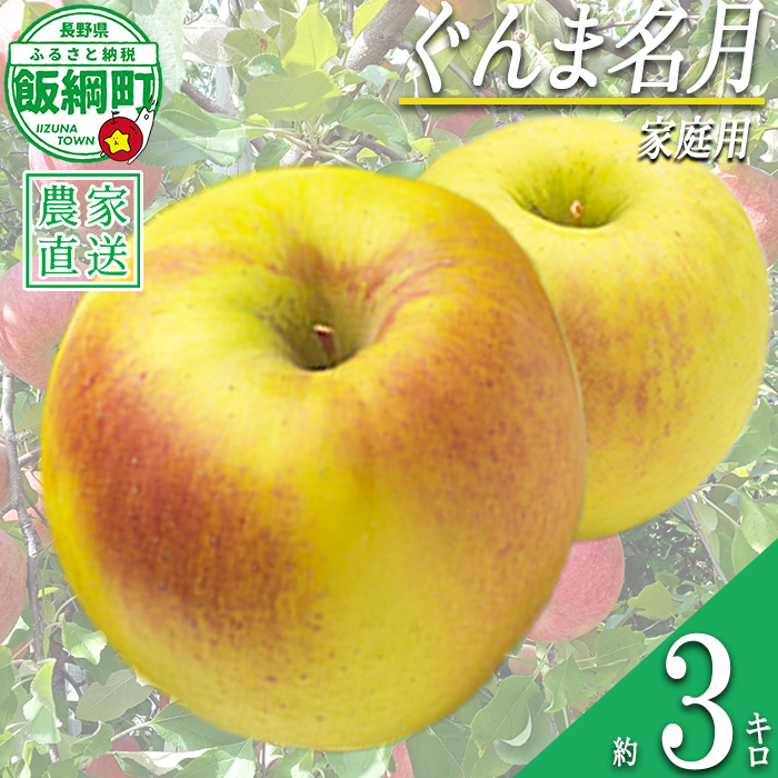 りんご ぐんま名月 家庭用 3kg 永野農園 沖縄県への配送不可 2026年11月上旬頃から2026年11月下旬頃まで順次発送予定 令和8年度収穫分 信州 果物 フルーツ リンゴ 林檎 長野 予約 農家直送 長野県 飯綱町 [1557]