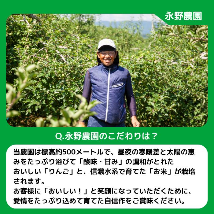 りんご ぐんま名月 家庭用 3kg 永野農園 沖縄県への配送不可 2026年11月上旬頃から2026年11月下旬頃まで順次発送予定 令和8年度収穫分 信州 果物 フルーツ リンゴ 林檎 長野 予約 農家直送 長野県 飯綱町 [1557]