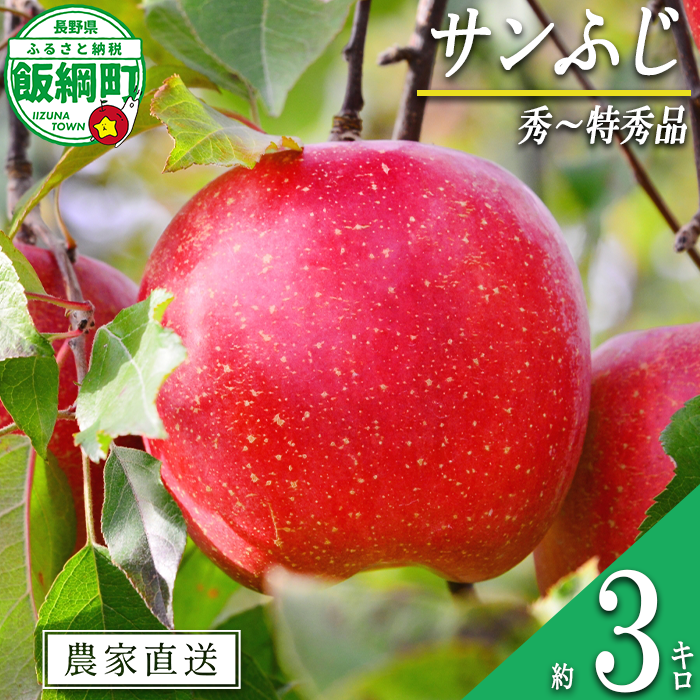 りんご サンふじ 秀 〜 特秀 3kg 永野農園 沖縄県への配送不可 2026年12月上旬頃から2027年2月上旬頃まで順次発送予定 令和8年度収穫分 信州 果物 フルーツ リンゴ 林檎 長野 予約 農家直送 長野県 飯綱町 [0488]