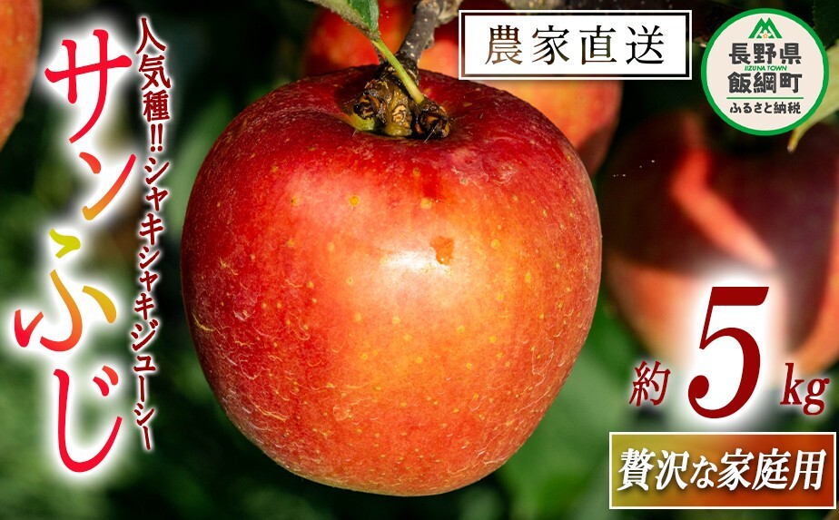 りんご サンふじ 贅沢な 家庭用 5kg 永野農園 沖縄県への配送不可 2026年12月上旬頃から2027年2月上旬頃まで順次発送予定 令和8年度収穫分 信州 果物 フルーツ リンゴ 林檎 長野 予約 農家直送 長野県 飯綱町 [0489]