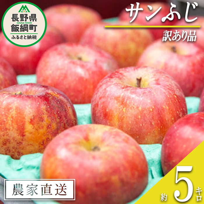りんご サンふじ 訳あり 5kg 永野農園 沖縄県への配送不可 2026年12月上旬頃から2027年2月上旬頃まで順次発送予定 令和8年度収穫分 信州 果物 フルーツ リンゴ 林檎 長野 予約 農家直送 長野県 飯綱町 [1250]