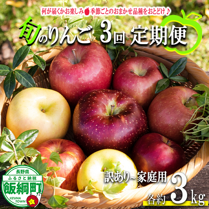 【 定期便 】 旬のりんご 品種おまかせ 家庭用 〜 訳あり 3kg × 3回 永野農園 沖縄県への配送不可 2026年10月上旬頃から2026年12月下旬頃まで順次発送予定 令和8年度収穫分 信州 果物 フルーツ リンゴ 林檎 10月 11月 12月 長野 予約 農家直送 長野県 飯綱町 [1955]