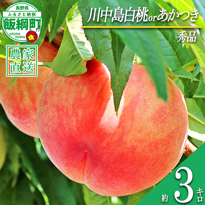 もも 旬の桃 秀品 約 3kg ( 品種おまかせ ) 永正の地蔵尊神谷農園 配送先は本州限定 2026年8月中旬頃から2026年9月上旬頃まで順次発送予定 令和8年度収穫分 信州 果物 フルーツ モモ 桃 長野 予約 農家直送 長野県 飯綱町 [0772]