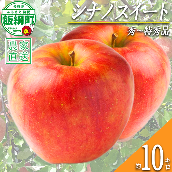 りんご シナノスイート 秀 ～ 特秀 10kg 永正の地蔵尊神谷農園 2026年10月上旬頃から2026年12月上旬頃まで順次発送予定 令和8年度収穫分 信州 果物 フルーツ リンゴ 林檎 長野 予約 農家直送 長野県 飯綱町 [0442]