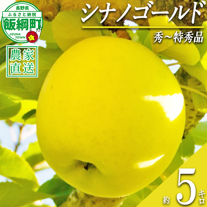 りんご シナノゴールド 秀 ～ 特秀 5kg 永正の地蔵尊神谷農園 沖縄県への配送不可 2026年11月中旬頃から2026年12月下旬頃まで順次発送予定 令和8年度収穫分 信州 果物 フルーツ リンゴ 林檎 長野 予約 農家直送 長野県 飯綱町 [1253]
