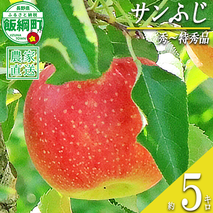 りんご サンふじ 秀 ～ 特秀 5kg 永正の地蔵尊神谷農園 沖縄県への配送不可 2026年12月上旬頃から2027年2月上旬頃まで順次発送予定 令和8年度収穫分 信州 果物 フルーツ リンゴ 林檎 長野 予約 農家直送 長野県 飯綱町 [0311]