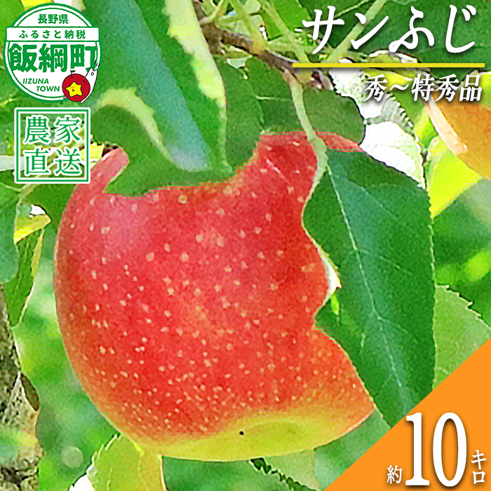 りんご サンふじ 秀 ～ 特秀 10kg 永正の地蔵尊神谷農園 2026年12月上旬頃から2027年2月上旬頃まで順次発送予定 令和8年度収穫分 信州 果物 フルーツ リンゴ 林檎 長野 予約 農家直送 長野県 飯綱町 [0312]