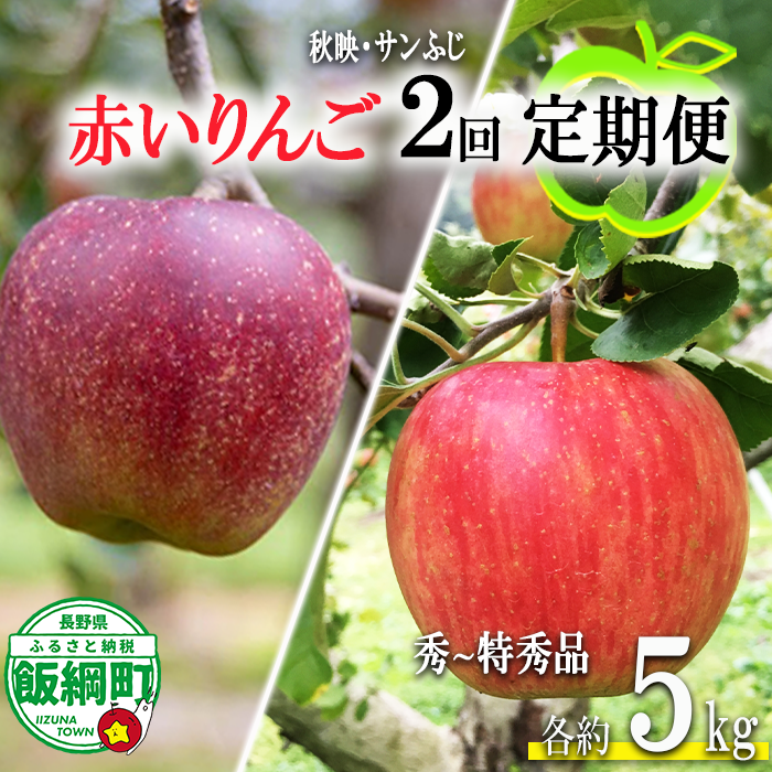 赤いりんご 【 定期便 】 秀 ～ 特秀 5kg × 2回 永正の地蔵尊神谷農園 沖縄県への配送不可 2026年10月上旬頃から2026年12月中旬頃まで順次発送予定 令和8年度収穫分 信州 果物 フルーツ リンゴ 林檎 長野 予約 農家直送 長野県 飯綱町 [1864]