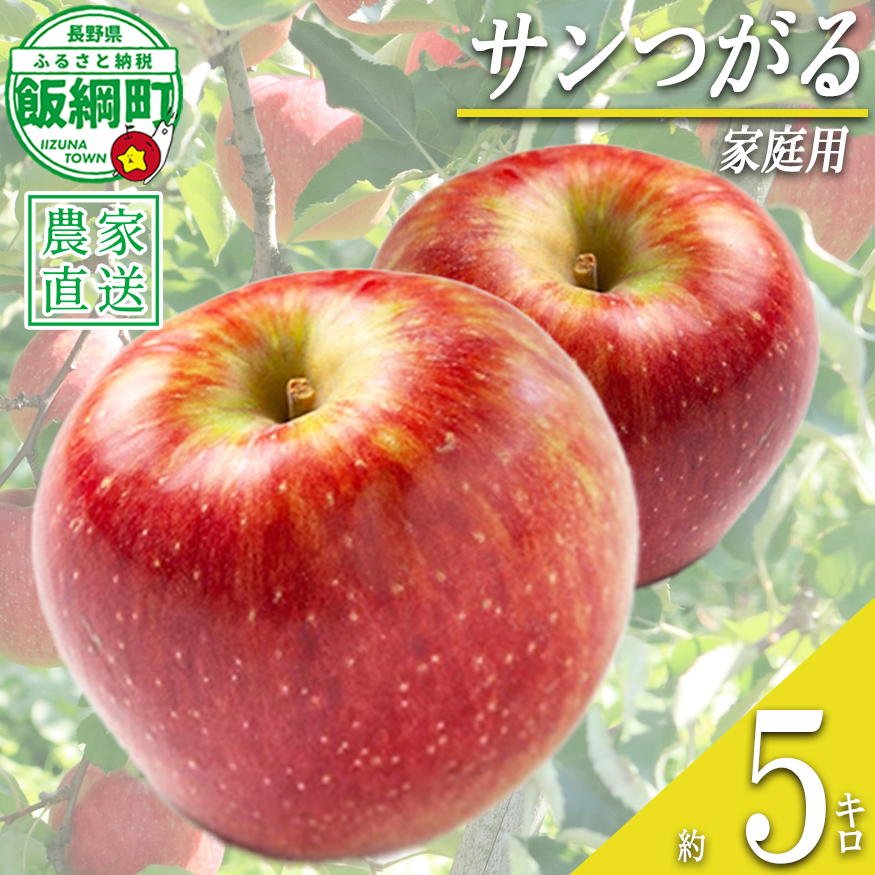 りんご サンつがる 家庭用 5kg ファームたんぽぽ 沖縄県への配送不可 2026年9月上旬頃から2025年9月中旬頃まで順次発送予定 令和8年度収穫分 信州 果物 フルーツ リンゴ 林檎 長野 予約 農家直送 長野県 飯綱町 [0730]
