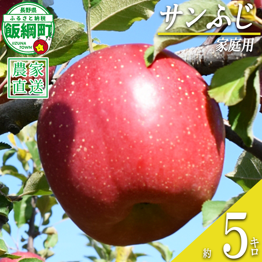 りんご サンふじ 家庭用 5kg ファームたんぽぽ 沖縄県への配送不可 2026年12月上旬頃から2027年1月下旬頃まで順次発送予定 令和8年度収穫分 信州 果物 フルーツ リンゴ 林檎 長野 予約 農家直送 長野県 飯綱町 [0735]