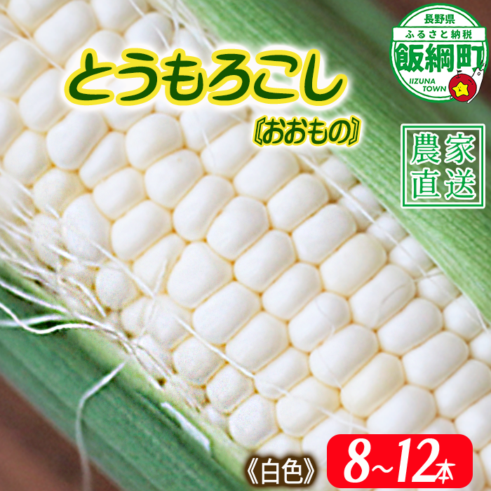 信州産 朝採り 【 白色 】 とうもろこし 8本 ～ 12本 ( 品種 おおもの ) 上倉荘 配送先は本州限定 2026年8月上旬頃から2026年9月中旬頃まで順次発送予定 信州 トウモロコシ コーン おおもの 野菜 白色 ホワイト 長野県 飯綱町 [2015]