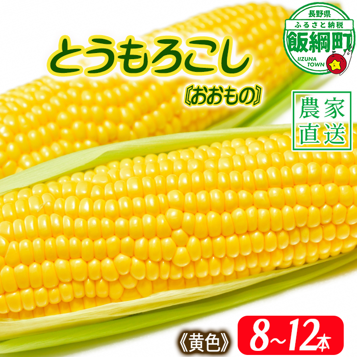 信州産 朝採り【 黄色 】 とうもろこし 8本 ～ 12本 ( 品種 おおもの ) 上倉荘 配送先は本州限定 2026年8月上旬頃から2026年9月中旬頃まで順次発送予定 信州 トウモロコシ コーン おおもの 野菜 黄色 イエロー 長野県 飯綱町 [0763]
