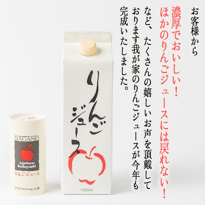 りんごジュース 1000ml × 12本 無添加 酸化防止剤不使用 果汁100% 紙パック アグリファーム小林 信州の環境にやさしい農産物認証 飲料 果汁飲料 りんご リンゴ 林檎 ジュース 信州 農家直送 長野県 飯綱町 [1697]