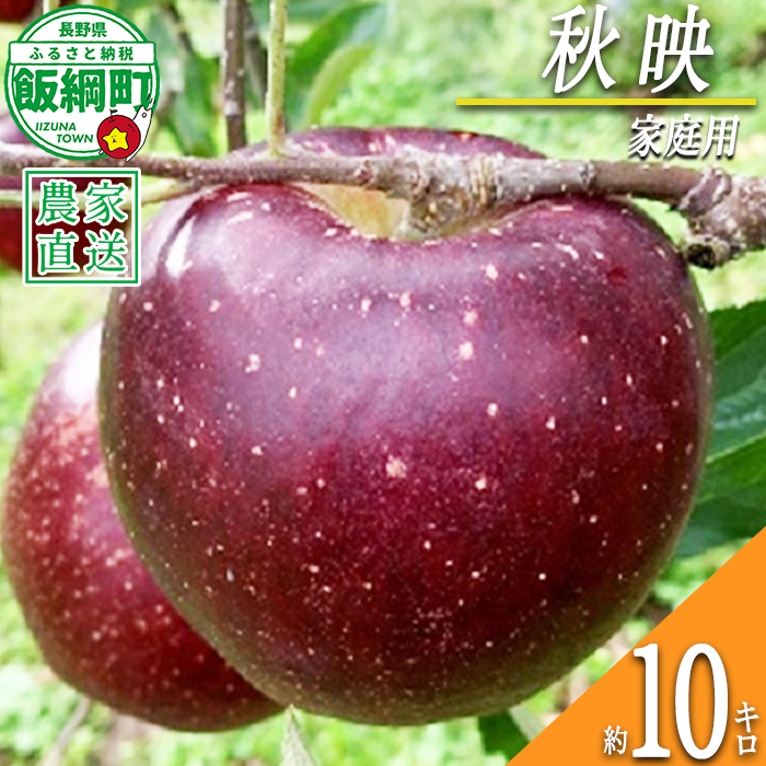 りんご 秋映 家庭用 10kg ファームトヤ 2026年10月上旬頃から2026年10月下旬頃まで順次発送予定 令和8年度収穫分 信州 果物 フルーツ リンゴ 林檎 秋映 りんご3兄弟 長野 予約 農家直送 長野県 飯綱町 [1141]