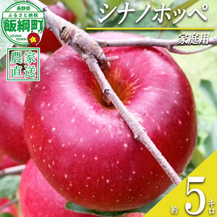 りんご シナノホッペ 家庭用 5kg ファームトヤ 沖縄県への配送不可 2026年11月上旬頃から2026年11月下旬頃まで順次発送予定 令和8年度収穫分 信州 果物 フルーツ リンゴ 林檎 長野 予約 農家直送 長野県 飯綱町 [0945]