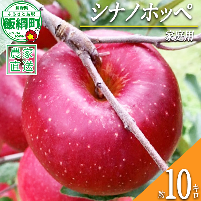 りんご シナノホッペ 家庭用 10kg ファームトヤ 2026年11月上旬頃から2026年11月下旬頃まで順次発送予定 令和8年度収穫分 信州 果物 フルーツ リンゴ 林檎 長野 予約 農家直送 長野県 飯綱町 [0946]