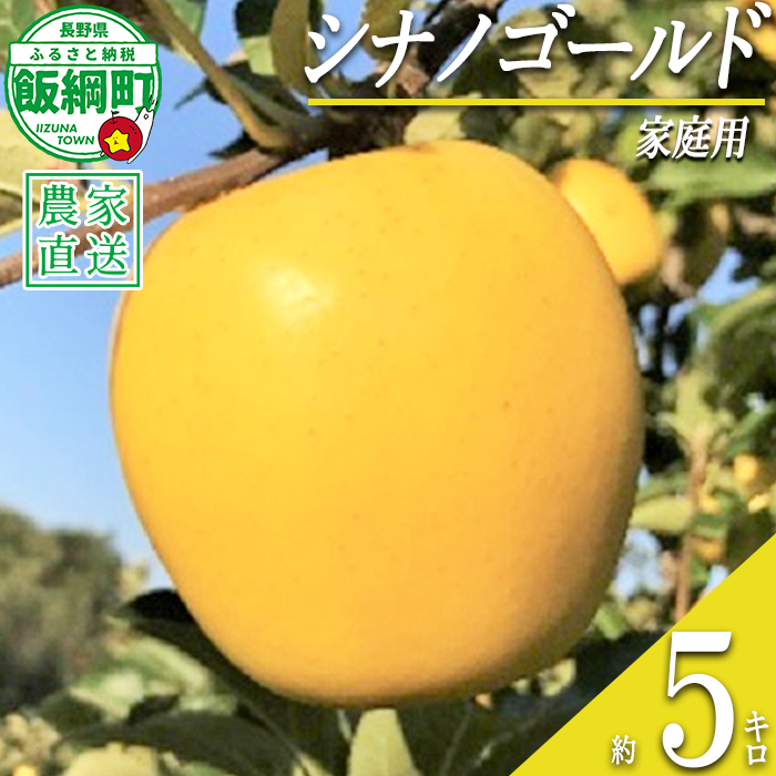 りんご シナノゴールド 家庭用 5kg ファームトヤ 沖縄県への配送不可 2026年11月中旬頃から2027年1月上旬頃まで順次発送予定 令和8年度収穫分 信州 果物 フルーツ リンゴ 林檎 長野 予約 農家直送 長野県 飯綱町 [1144]