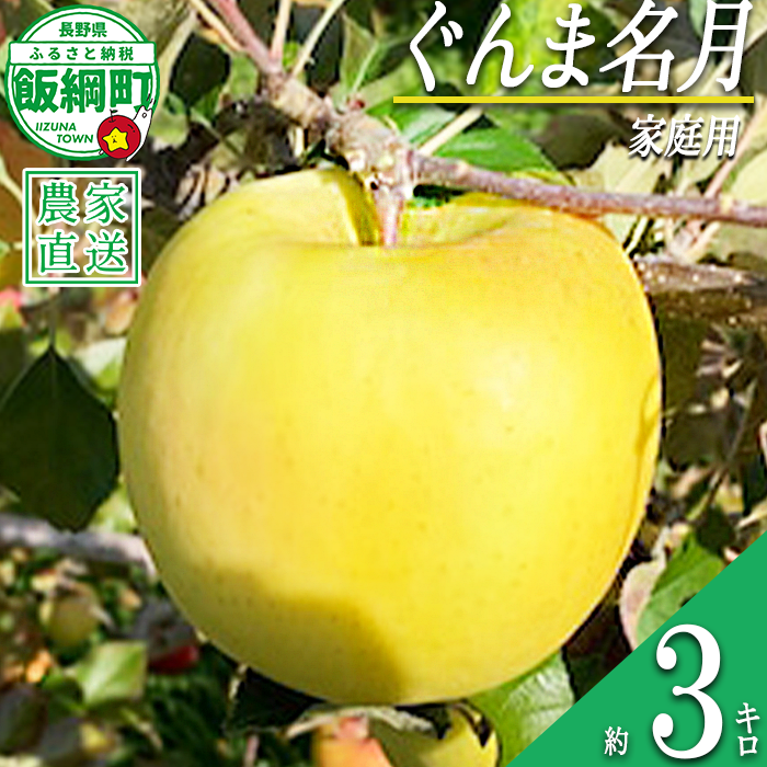 りんご ぐんま名月 家庭用 3kg ファームトヤ 沖縄県への配送不可 2026年11月中旬頃から2026年12月下旬頃まで順次発送予定 令和8年度収穫分 信州 果物 フルーツ リンゴ 林檎 名月 長野 予約 農家直送 長野県 飯綱町 [1423]