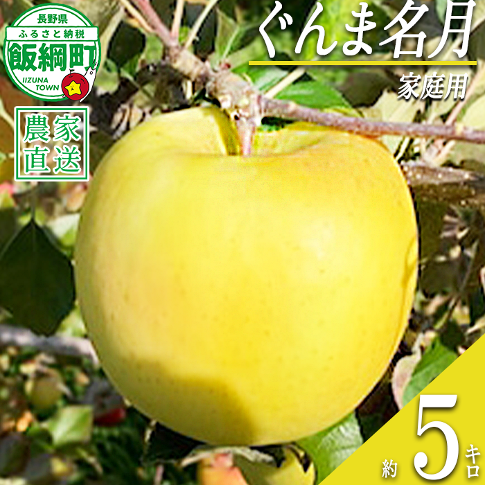 りんご ぐんま名月 家庭用 5kg ファームトヤ 沖縄県への配送不可 2026年11月中旬頃から2026年12月下旬頃まで順次発送予定 令和8年度収穫分 信州 果物 フルーツ リンゴ 林檎 名月 長野 予約 農家直送 長野県 飯綱町 [1424]