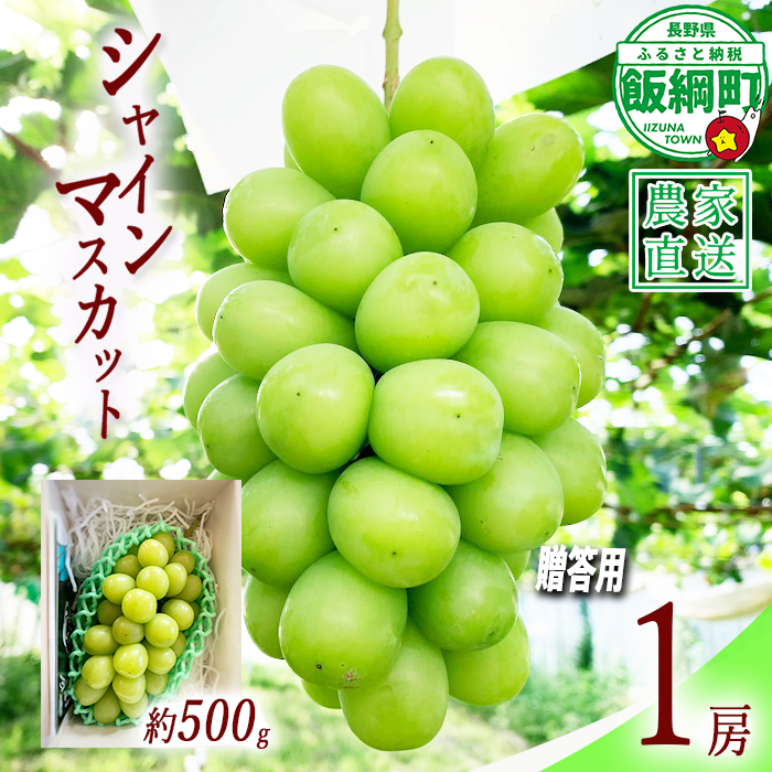 ぶどう シャインマスカット 贈答用 1房 ( 約 500g ) ファームトヤ 配送先は本州限定 2026年9月中旬頃から2026年10月上旬頃まで順次発送予定 令和8年度収穫分 信州 果物 フルーツ ブドウ マスカット 葡萄 長野 予約 農家直送 長野県 飯綱町 [0878]