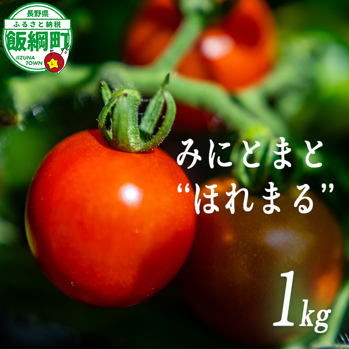 [ クール便 / 冷蔵便 ] 【 NAO's FARM 】 ミニトマト ほれまる 1kg 2026年8月上旬頃から2026年9月上旬頃まで順次発送予定 令和8年度収穫分沖縄県配送不可 株式会社みみずや 元サッカー日本代表 石川直宏 ほれまる 信州 野菜 甘い ミニトマト 産地直送 長野 予約 長野県 飯綱町 [2134]