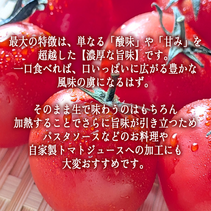 [ クール便 / 冷蔵便 ] 【 NAO's FARM 】 ミニトマト ほれまる 1kg 2026年8月上旬頃から2026年9月上旬頃まで順次発送予定 令和8年度収穫分沖縄県配送不可 株式会社みみずや 元サッカー日本代表 石川直宏 ほれまる 信州 野菜 甘い ミニトマト 産地直送 長野 予約 長野県 飯綱町 [2134]