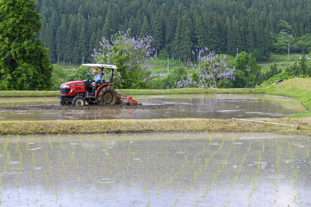 【令和7年(2025年)5月発送】美味しい玄米でお届け！栄村産コシヒカリ最高評価特Ａ米「心づかい」10kg （令和6年産）