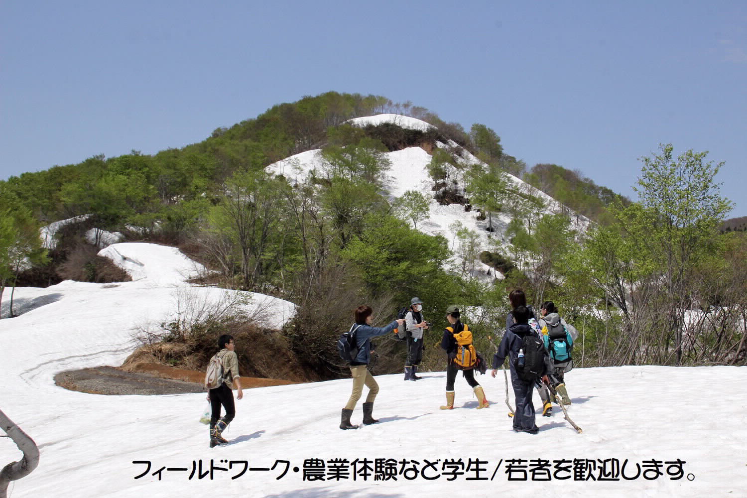 《令和７年産》長野県栄村産コシヒカリ「青倉米」特別栽培米白米５kg