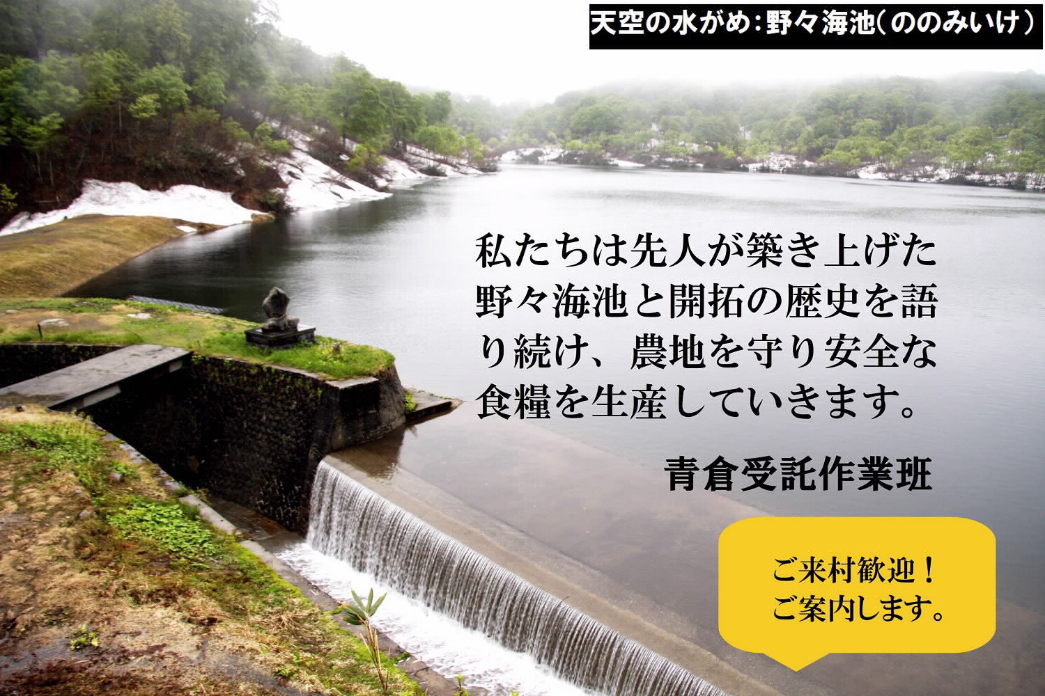 《令和７年産》長野県栄村産コシヒカリ「青倉米」特別栽培米白米５kg