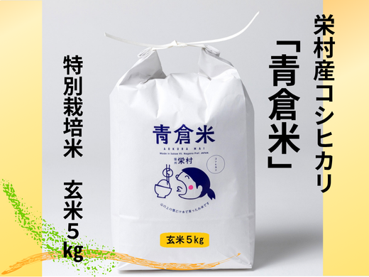 《令和７年産》長野県栄村産コシヒカリ「青倉米」特別栽培米玄米５kg