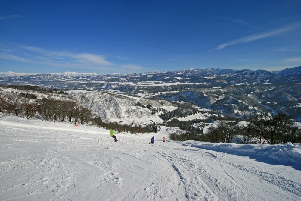 ãããå¶æ¥œéšã¹ããŒå Žå€§äººãªããïŒæ¥åžïŒé«æ ¡ç以äžïŒ