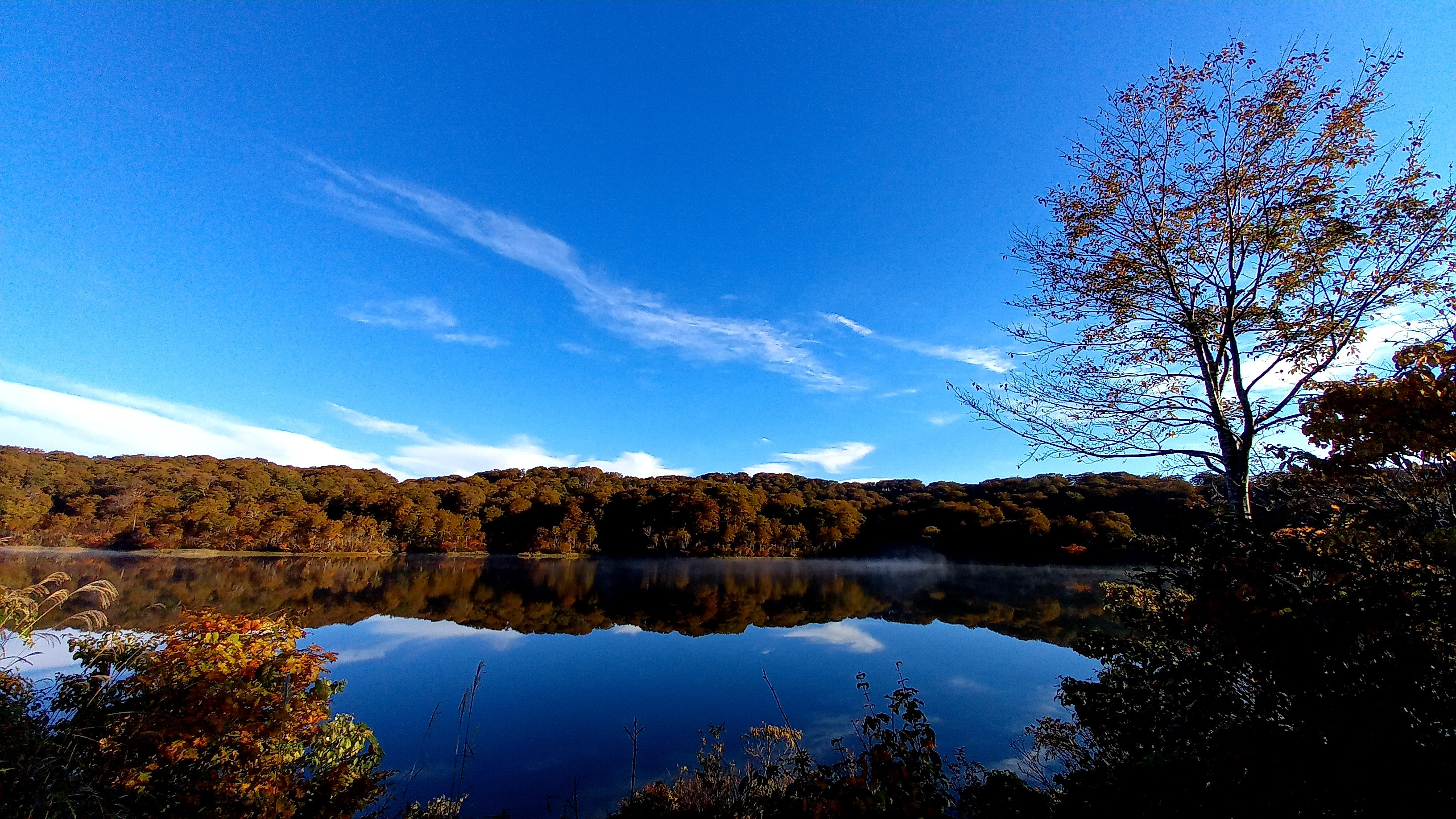 《令和７年産》長野県栄村産コシヒカリ「青倉米」特別栽培米玄米５kg