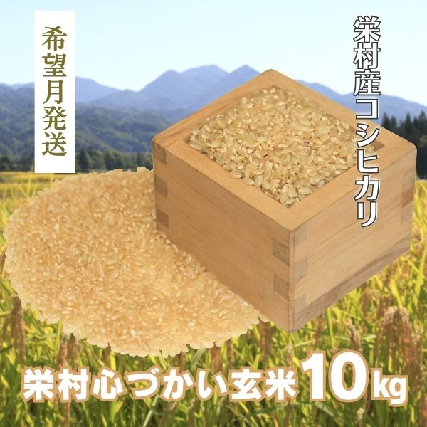 【令和6年(2024年)11月発送】美味しい新米を玄米でお届け！栄村産コシヒカリ最高評価特Ａ米「心づかい」10kg （令和6年産）