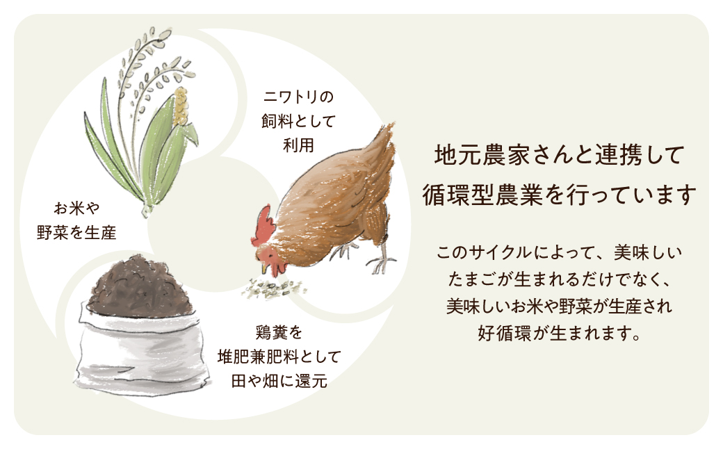 縲仙ョ壽悄萓ソ 12繝カ譛医大ケウ鬟シ縺 閾ェ辟カ蜊オ 30蛟 繧サ繝繝 縺溘∪縺 蜊オ 鬟幃ィィ鬮伜アア 譽ョ縺ョ縺溘∪縺碑セイ蝨 LW105 | 螳壽悄萓ソ 縺溘∪縺 螳壽悄萓ソ 蜊オ 蟷ウ鬟シ縺 蟷ウ鬟シ縺蜊オ 螳壽悄萓ソ 縺溘∪縺 螳壽悄萓ソ 蜊オ 蟷ウ鬟シ縺 蟷ウ鬟シ縺蜊オ 螳壽悄萓ソ 縺溘∪縺 螳壽悄萓ソ 蜊オ 蟷ウ鬟シ縺 蟷ウ鬟シ縺蜊オ