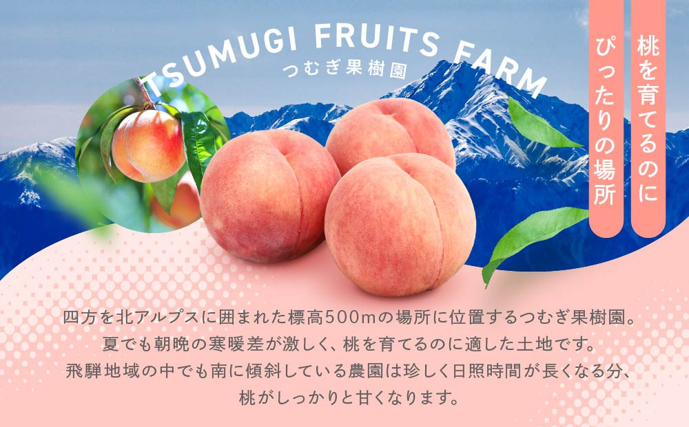 【数量限定/先行予約】≪定期便3回≫ 飛騨のたから桃 食べ比べ定期便4～8玉 糖度11度以上｜7月・8月・9月にお届け！ 桃 おまかせ 旬 果物 飛騨高山 厳選 産直 つむぎ果樹園 GH105