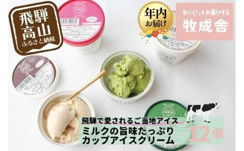 【12月配送】＜牧成舎＞ 飛騨の牛乳屋が作る ミルクの旨味たっぷり カップアイスクリーム  12個入り（バニラ/抹茶/いちご/ラムレーズン 各3個）| 年内発送 デザート 牧場 アイス 人気 おいしい 牛乳 ギフト プレゼント バレンタイン ホワイトデー 母の日 飛騨高山 牧成舎 DF018VC12