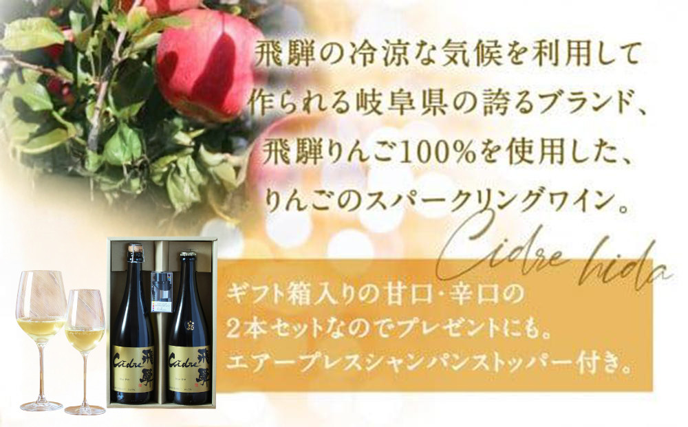 【寄附額見直しました】飛騨りんご シードル飛騨 辛口・甘口 750ml各1本セット | スパークリング スパークリングワイン シードル お酒 果実酒 りんご リンゴ 林檎 ワイン セット 化粧箱入り プレゼント 飛騨高山 木戸脇果樹園オーチャードハウス FP003