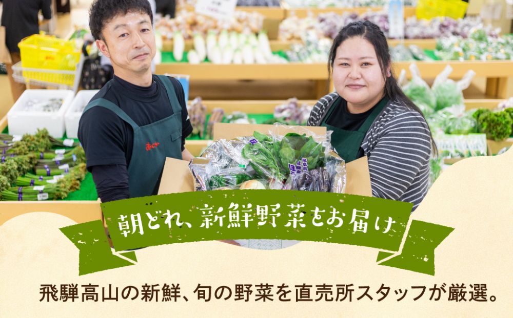 先行予約 《定期便》3ヶ月 飛騨の野菜 7〜9点 野菜セット 3回 お届け 飛騨高山産 野菜  秋野菜 おまかせ お取り寄せ  産地直送 飛騨産 夏 秋  サラダ    GN101