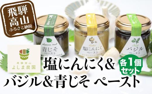 【1月配送】自然栽培調味料シリーズ バジル 塩にんにく 青じそ ペースト 塩 飛騨高山よしま農園 CK011VC01