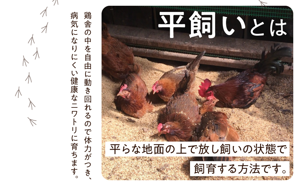 縲仙ョ壽悄萓ソ 12繝カ譛医大ケウ鬟シ縺 閾ェ辟カ蜊オ 24蛟 繧サ繝繝 縺溘∪縺 蜊オ 鬟幃ィィ鬮伜アア 譽ョ縺ョ縺溘∪縺碑セイ蝨 LW104 | 螳壽悄萓ソ 縺溘∪縺 螳壽悄萓ソ 蜊オ 蟷ウ鬟シ縺 蟷ウ鬟シ縺蜊オ 螳壽悄萓ソ 縺溘∪縺 螳壽悄萓ソ 蜊オ 蟷ウ鬟シ縺 蟷ウ鬟シ縺蜊オ 螳壽悄萓ソ 縺溘∪縺 螳壽悄萓ソ 蜊オ 蟷ウ鬟シ縺 蟷ウ鬟シ縺蜊オ
