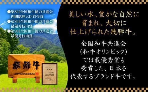 5等級 飛騨牛 焼肉 (もも、バラ) 盛り合わせ 400g | 食べ比べ 詰め合わせ BBQ バーベキュー キャンプ お取り寄せ 牛肉 和牛 黒毛和牛 グルメ 焼肉セット 飛騨高山 ながせ食品 FH012VC13